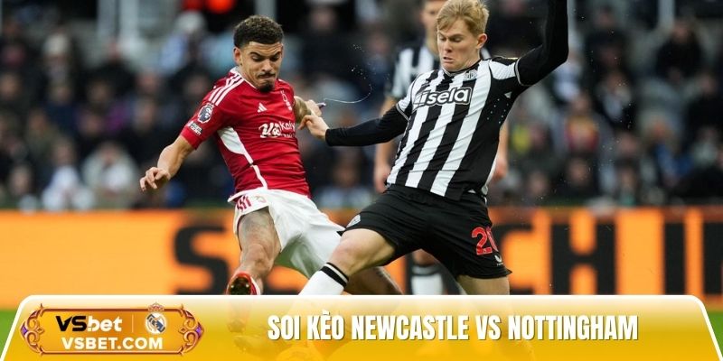 Soi kèo Newcastle vs Nottingham, 20h00 ngày 05/10: Cơ hội cho chủ nhà