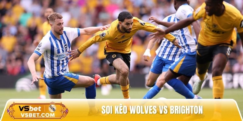 Soi kèo Wolves vs Brighton, 20h00 ngày 05/10: Khó cản Mòng Biển
